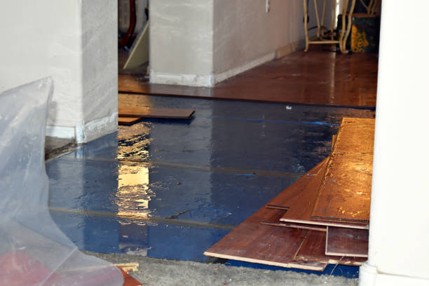 Professional Water Damage Restoration technician working in Gerton, NC